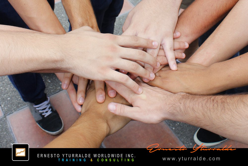 Talleres de Cuerdas Bajas para Jóvenes | Team Building Empresarial